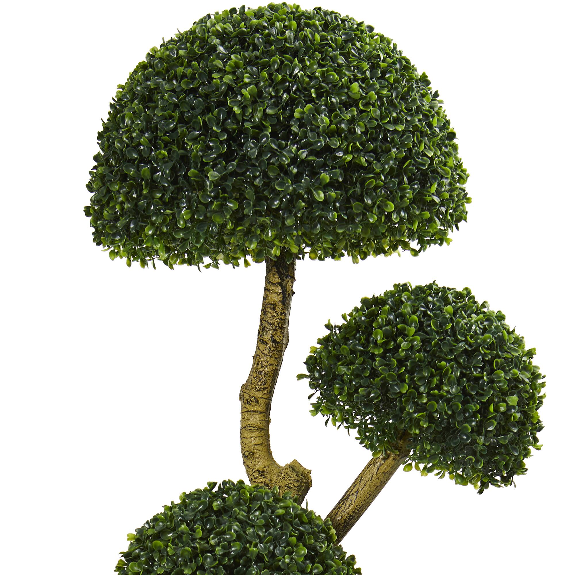 5ft. Potted Boxwood Tree
